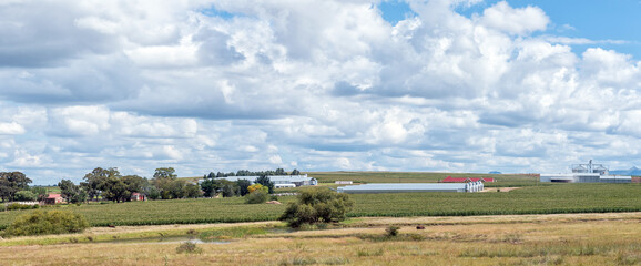 Fototapeta na wymiar Panorama of the Bloukruin Landgoed Manitoba egg farm near Fouriesburg