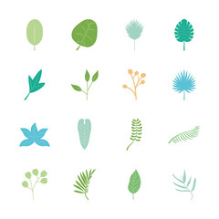 icon set of tropical leaves and monstera leaf, flat style