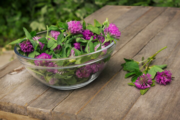 Glass bowl full of clover flowers