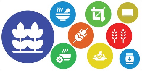 Modern Simple Set of cereal Vector filled Icons