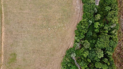 DCIM\100MEDIA\DJI_0197.JPG