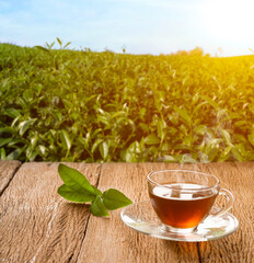 Hot teacup with saucer, organic green tea leaf on wooden table and the tea plantations background