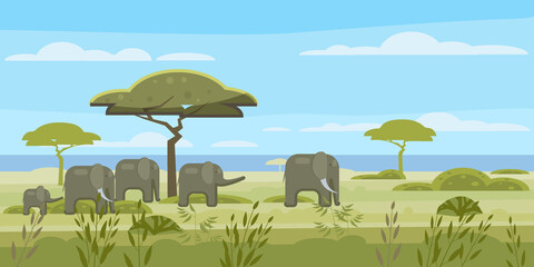 African landscape, savannah, wild herd of elephants, panorama, nature trees wilderness