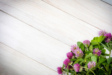 Clover flowers on a wooden table. Clover is used in official and traditional medicine. Flat lay