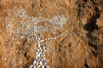 Tree made of shells on the clay cliff