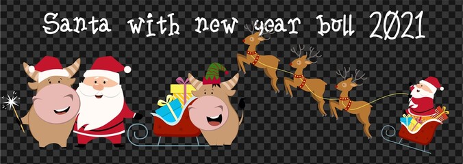 Fototapeta na wymiar Cute ox, cow, bull with Santa. 2021 transparent background with cow. Ox horoscope sign. Chinese year of ox 2021. Happy New Year. Concept image of symbol Chinese new year