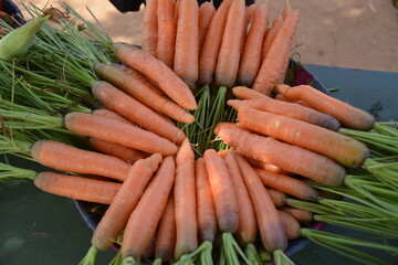 LES PRODUITS DU JARDIN 
POUR BIEN VOIR IL FAUT MANGER LES CAROTTES