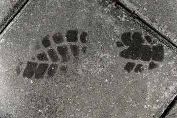 A wet footprint from a shoe left on a concrete surface (tile) after rain.
