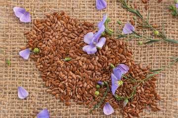 Flax seeds and flowers on linen cloth closeup.