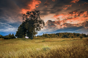 Krajobraz  z Wiosennymi Zmierzchowymi Chmurami  © Wojciech Lisiński