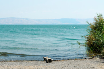 Sea of Galilee (Israel) - 358128666