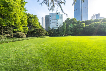 green lawn in park