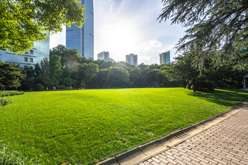 green lawn in park