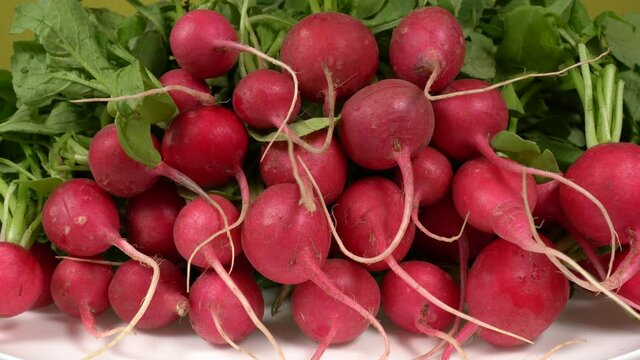 Closeup view 4k video footage of many riped red radishes apper on white plate. Healthy organic vegetables of eco farm.