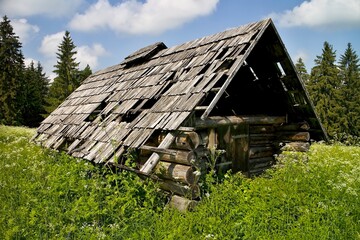 Ruin of an old hay-barn in Demanovska valley in Slovakia.