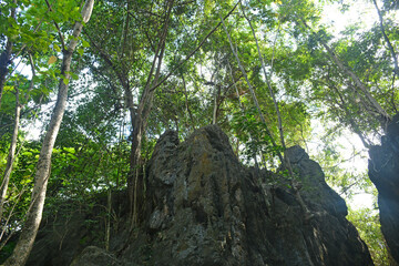 Fototapeta na wymiar Calinawan cave rock formation tourist attraction