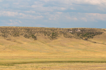 Obraz premium Wyoming prarie with sage covered ridge background.