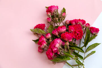 color composition of small spray roses. view from above. Empty space place for text.