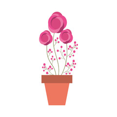 Isolated flower inside pot vector design