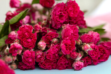 bouquet of shallow bush roses close-up. for installation.