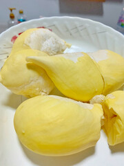 Durian flesh yellow gold on shop's display. Bright yellow tropical fruit. Yellow banner background from tropics.Close up.