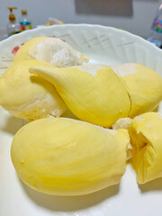 Durian flesh yellow gold on shop's display. Bright yellow tropical fruit. Yellow banner background from tropics.Close up.