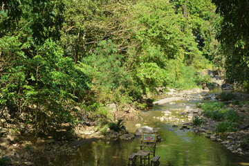 Fototapeta na wymiar Daranak river in Tanay, Rizal, Philippines
