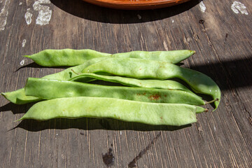 fresh fodder beans on an old wooden table
