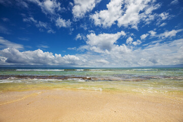 Fototapeta premium Hawaiian beach