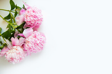 Obraz na płótnie Canvas Creative layout of pink peonies flowers on a white background. Copy space for your text. Flat lay, minimalism and nature concept.