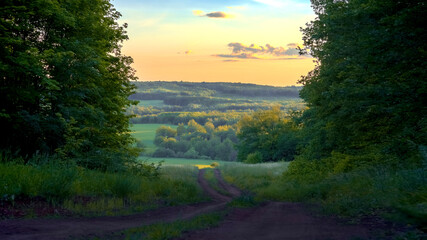 Landscape. The road among the trees. Beautiful sunset. Part of the photo is defocus.