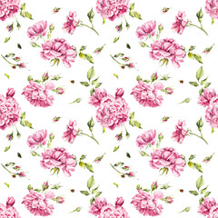 Roses seamless. Rosebush. Pattern from pink rose. Wedding drawings. White background. Watercolor hand drawn illustration.
