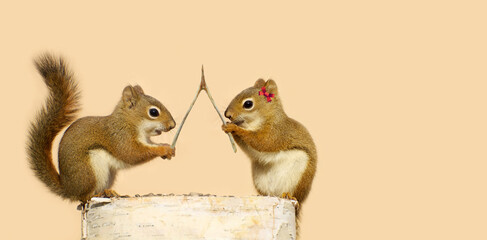 Cute pair of squirrels making wishes.