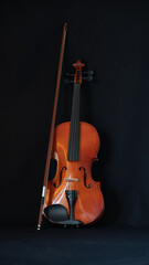
Violin and its bow, on black background