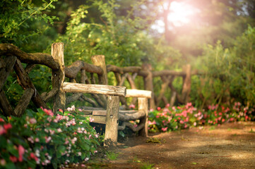 Wooden bench in beautiful park, in summer