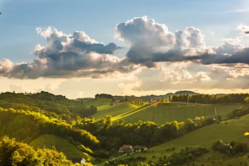 Foto op Canvas Beautiful landscape of Austrian vineyards in south Styria. Famous Tuscany like place to visit. © Przemyslaw Iciak