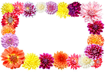 Obraz premium frame of colorful dahlia flowers