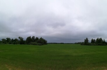 park nature grass green beautiful