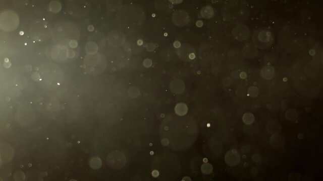 particulas de luz 