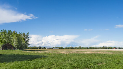 Alberta rural landscape