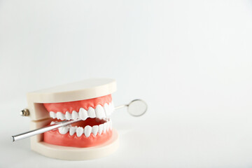 Teeth model with dental mirror on grey background