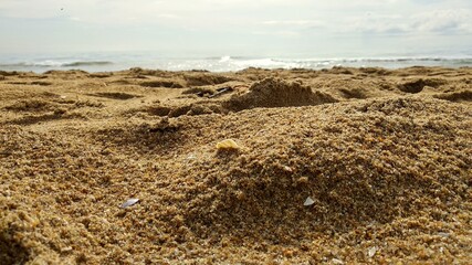beach atmosphere on a sunny day