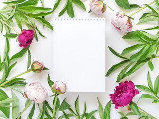 Flower composition. Fresh peonies and a notebook with sheets on a spiral are on a white background. Flat lay. Top view. Copy space.