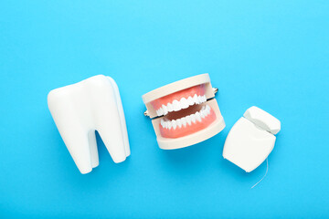 Teeth models with dental thread on blue background