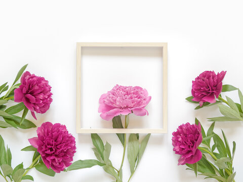 Flower composition. Mockup with empty wooden photo frame and red and pink peonies. Drops of water are on the petals. White background. Copy space.