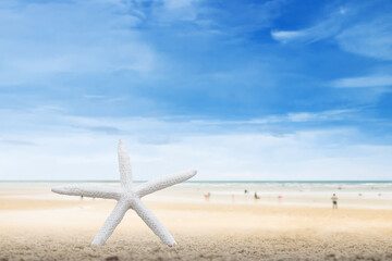 Tropical beach with starfish in sand. Concept of summer relaxation.