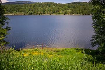 Mountain lake with wavy blue water and meadow beach with flower and tree on a summer day. Travel, tourism, and resort in nature concept. Vlasina lake, Serbia, Europe.