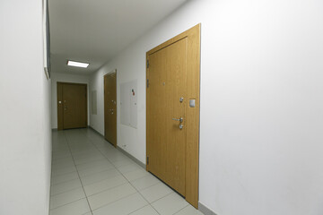 Obraz na płótnie Canvas entrance door to the apartment in the entrance