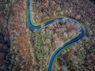 Forest drone picture tne with the contrast of the tree colors.