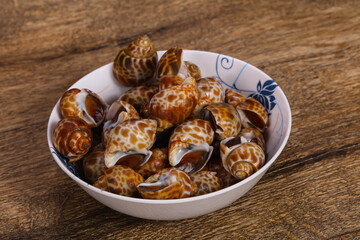 Fototapeta premium Tasty mollusk - spotted Babylon in the bowl